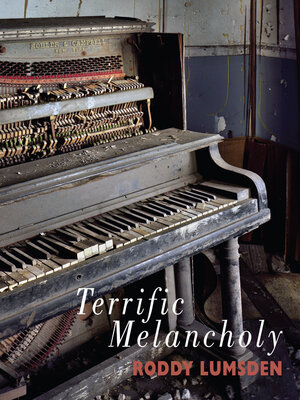 cover image of Terrific Melancholy